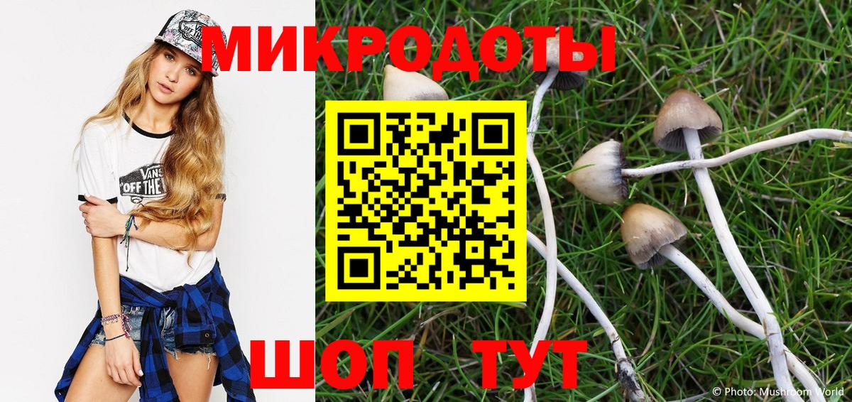 Псилоцибиновые грибы MAGIC MUSHROOMS Мценск